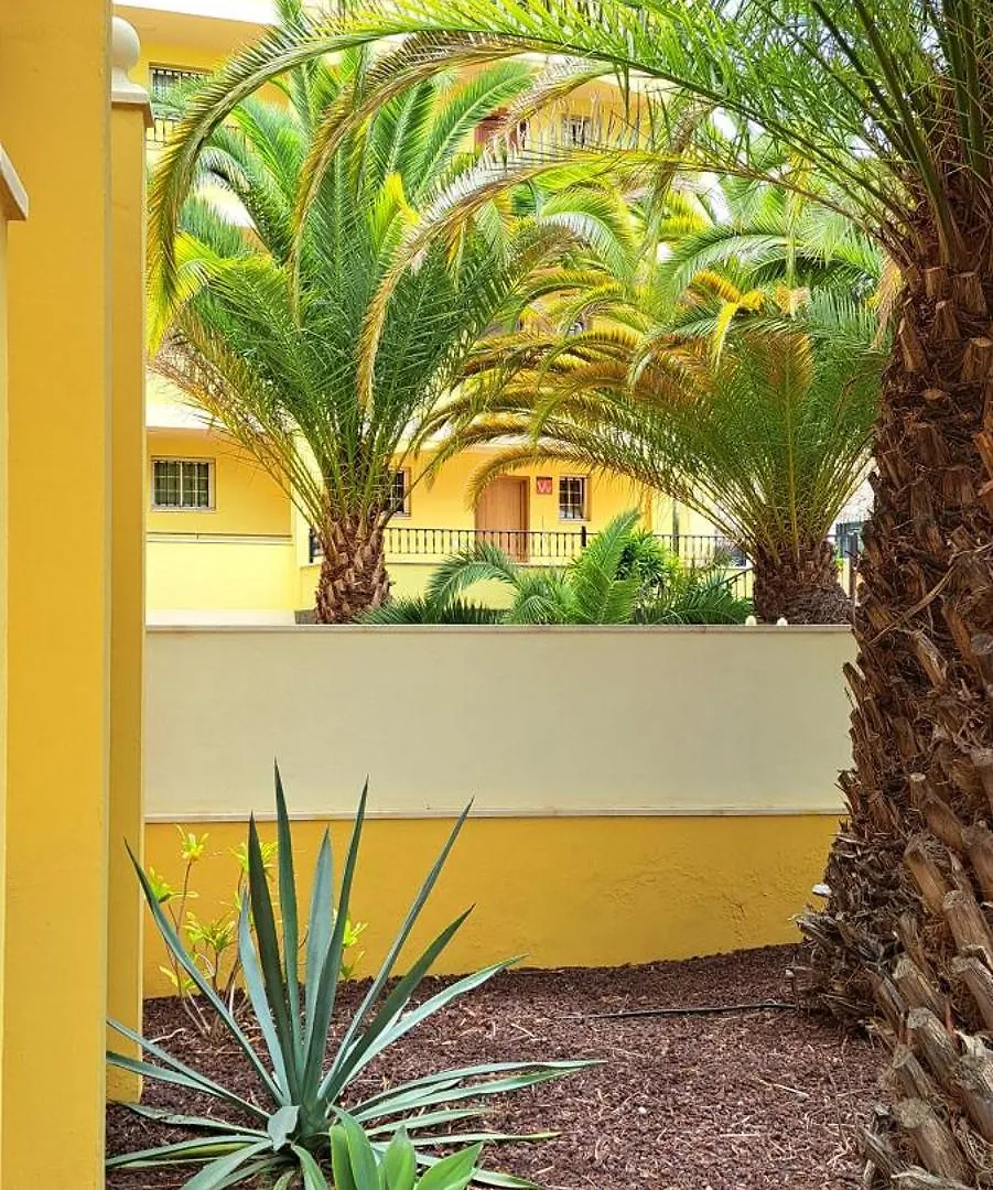 Casa Leona Lägenhet Palm-mar
